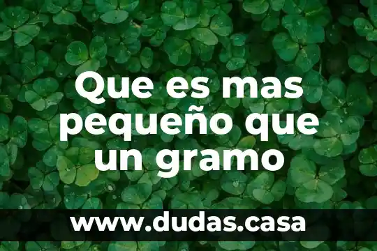 Que es mas pequeño que un gramo