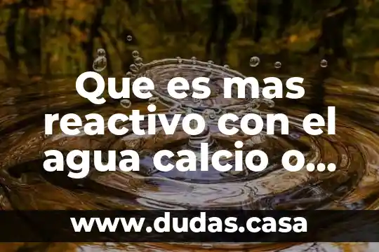 Que es mas reactivo con el agua calcio o magnesio