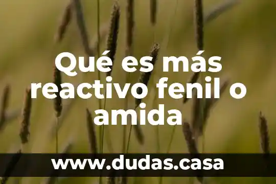 Qué es más reactivo fenil o amida