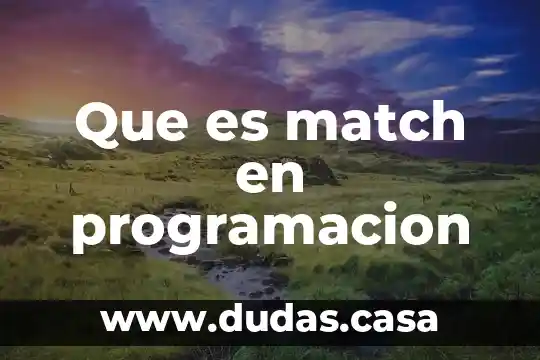 Que es match en programacion