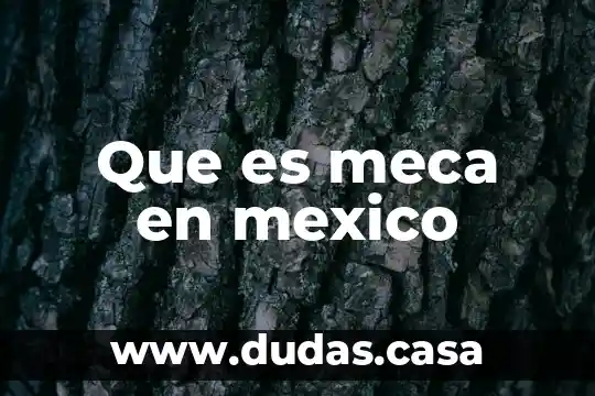 Que es meca en mexico