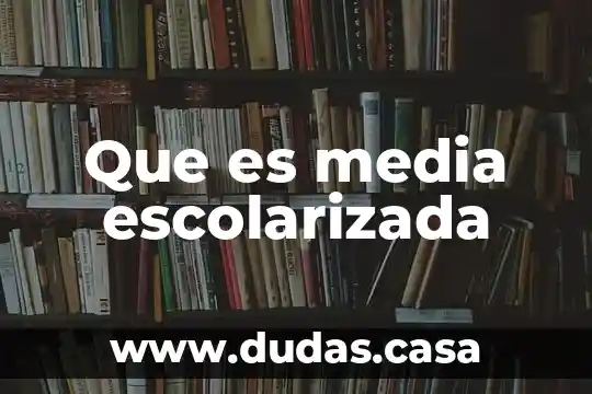 Que es media escolarizada 11 Que es media escolarizada