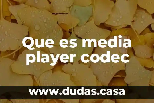 Que es media player codec