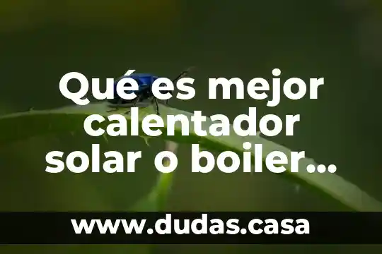 Qué es mejor calentador solar o boiler de paso