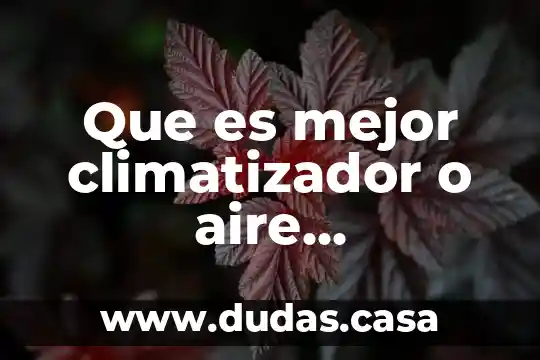 Que es mejor climatizador o aire acondicionado en el coche