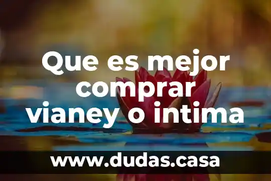 Que es mejor comprar vianey o intima