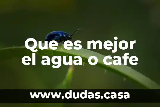 Que es mejor el agua o cafe