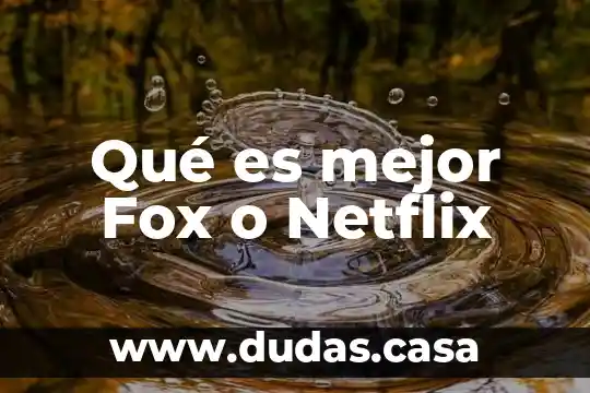 Qué es mejor Fox o Netflix