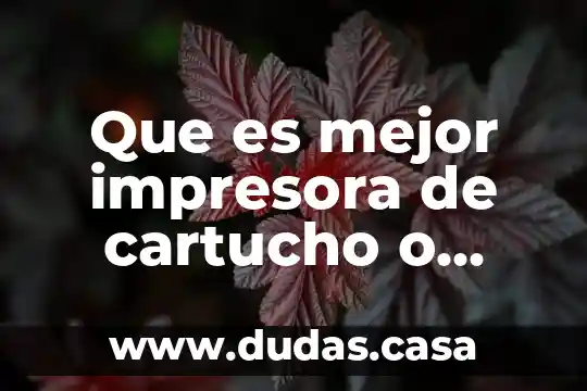 Que es mejor impresora de cartucho o inyectable