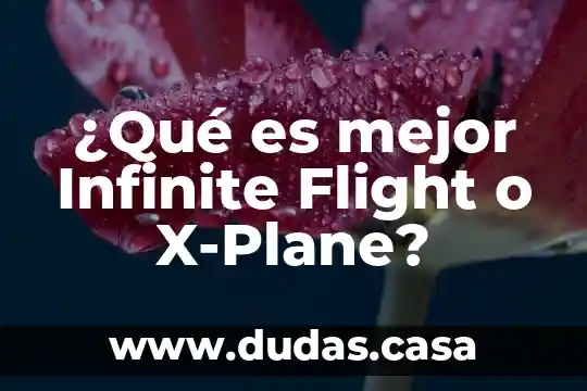¿Qué es mejor Infinite Flight o X-Plane?