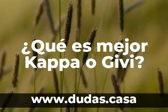 ¿Qué es mejor Kappa o Givi?