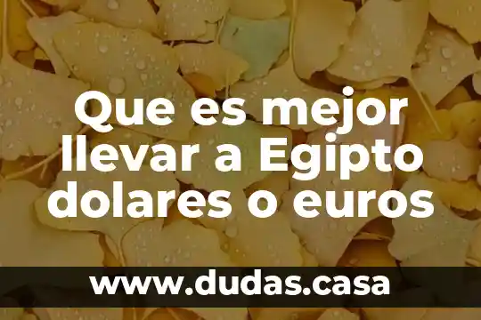 Que es mejor llevar a Egipto dolares o euros