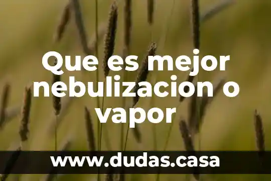 Que es mejor nebulizacion o vapor