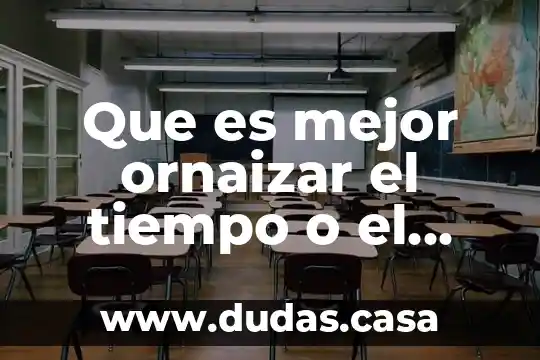 Que es mejor ornaizar el tiempo o el dinero