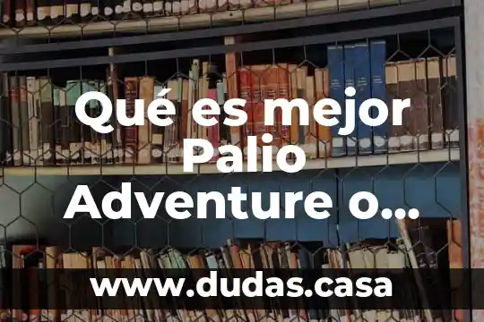 Qué es mejor Palio Adventure o Duster