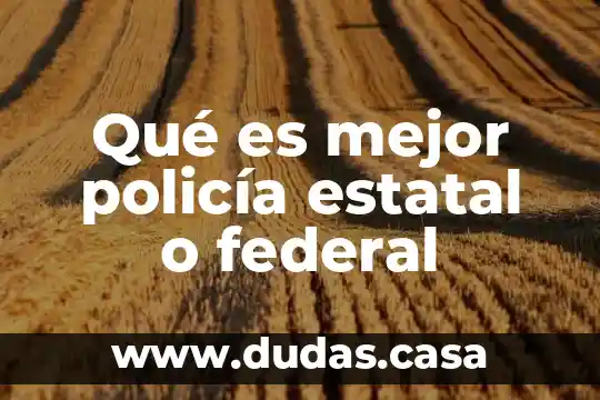 Qué es mejor policía estatal o federal