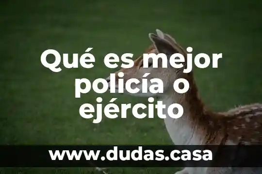 Qué es mejor policía o ejército