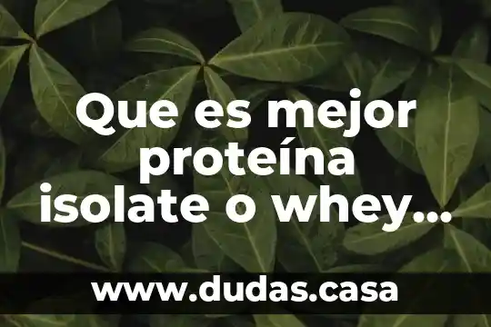 Que es mejor proteína isolate o whey protein