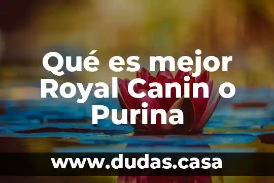 Qué es mejor Royal Canin o Purina