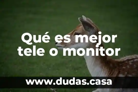 Qué es mejor tele o monitor