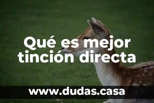 Qué es mejor tinción directa
