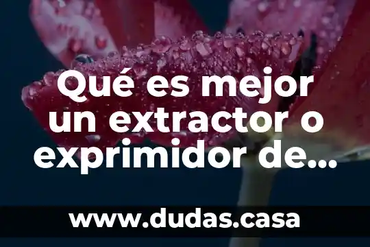 Qué es mejor un extractor o exprimidor de jugos