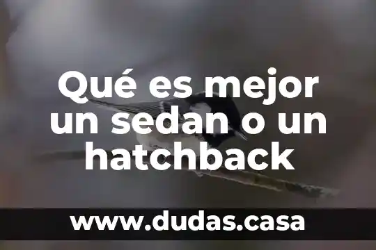 Qué es mejor un sedan o un hatchback