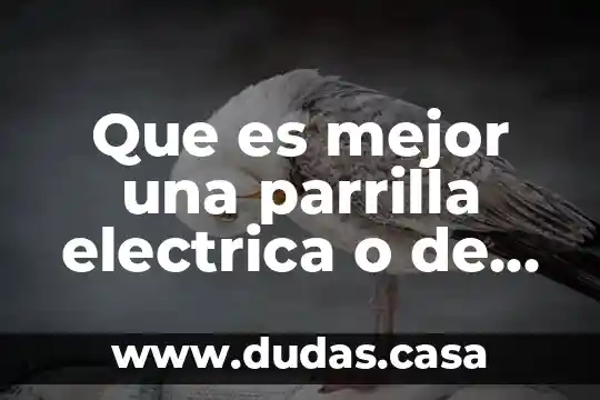 Que es mejor una parrilla electrica o de gas