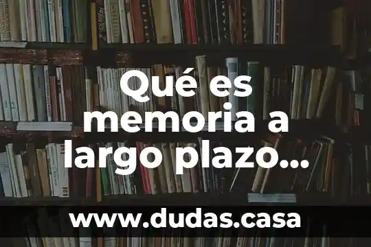 Qué es memoria a largo plazo ejemplos