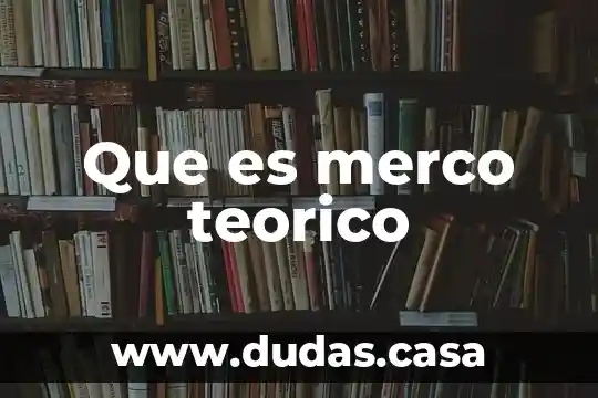Que es merco teorico