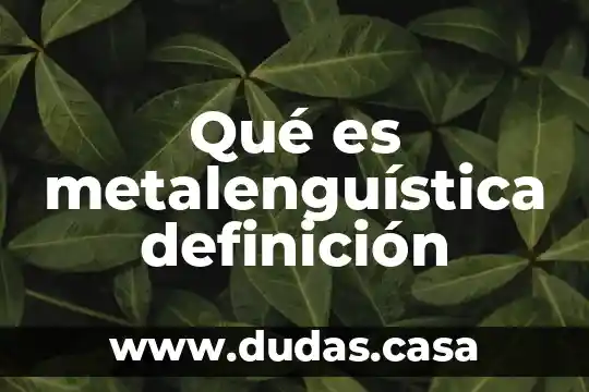 Qué es metalenguística definición