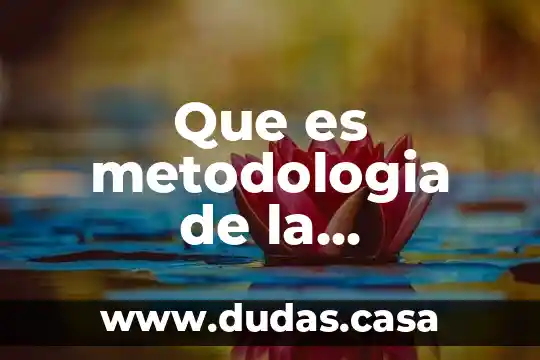 Que es metodologia de la investigacion en sociologia