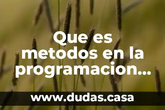 Que es metodos en la programacion orientada a objetos