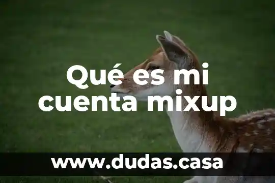Qué es mi cuenta mixup