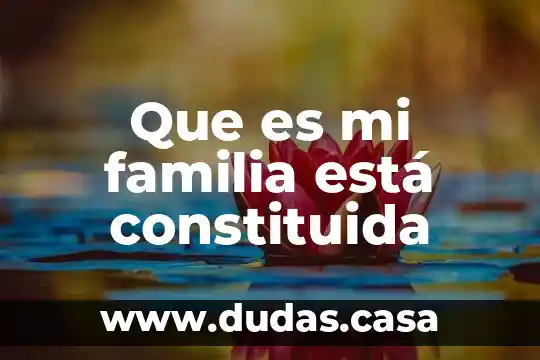 Que es mi familia está constituida