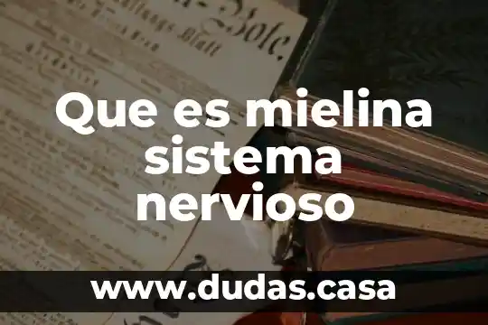 Que es mielina sistema nervioso