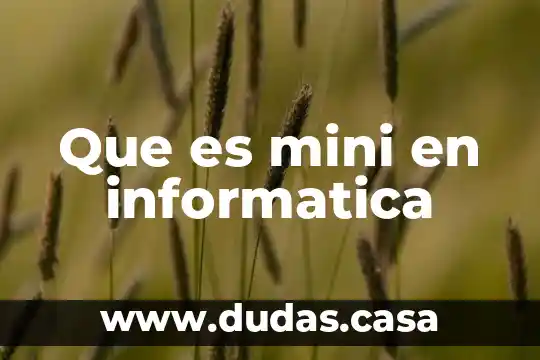 Que es mini en informatica