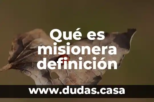 Qué es misionera definición