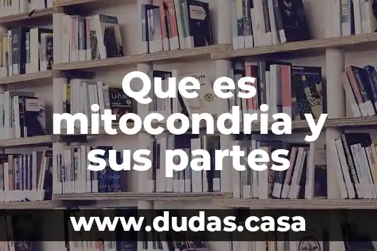 Que es mitocondria y sus partes