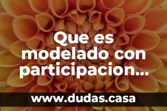 Que es modelado con participacion dirigida