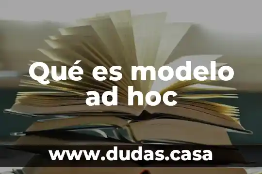 Qué es modelo ad hoc