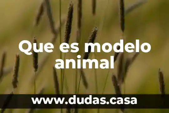 Que es modelo animal