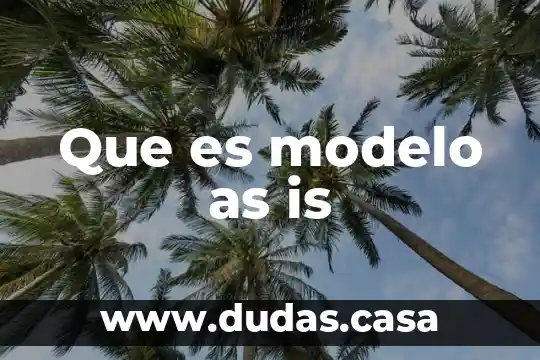 Que es modelo as is