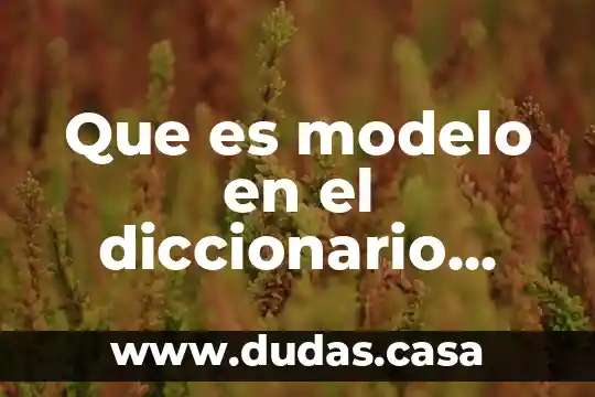 Que es modelo en el diccionario filosofico