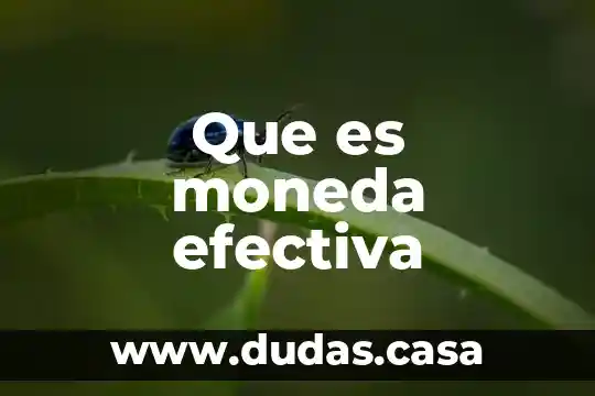 Que es moneda efectiva