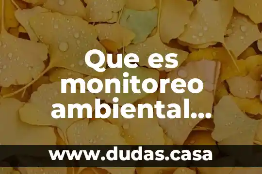 Que es monitoreo ambiental personal