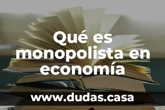 Qué es monopolista en economía