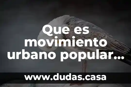 Que es movimiento urbano popular df
