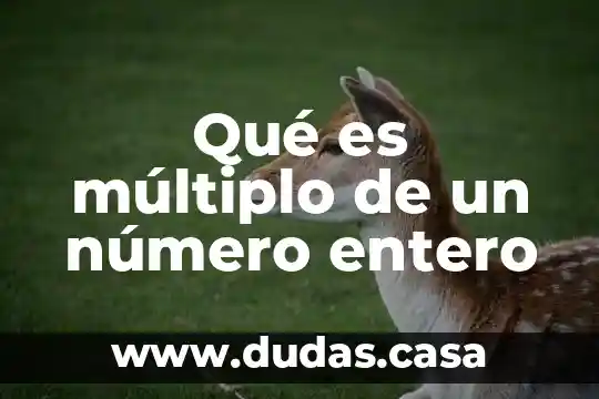 Qué es múltiplo de un número entero