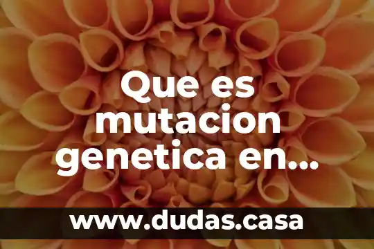 Que es mutacion genetica en biologia